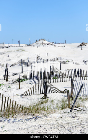 Series of sand fences for sand dune stabilization, restoration and rebuilding Outer Banks North Carolina Stock Photo