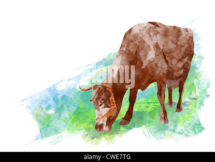Cow Grazing Stock Photo