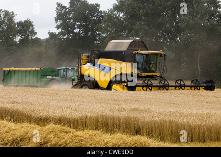 New Holland CR9080 Combine Harvester Harvesting a crop in August Stock Photo