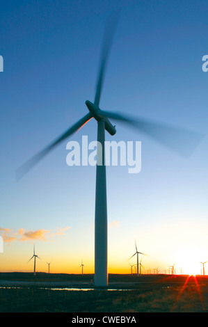 Black Law Wind Farm, near Forth, South Lanarkshire, Scotland, UK Stock Photo