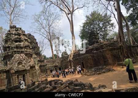 Horizontal view of tourists walking amongst the ruins of Ta Prohm aka Rajavihara or the Tomb Raider temple at Angkor. Stock Photo