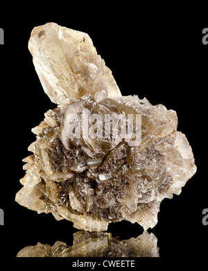 Gypsum rose with large singular crystal (Ammsdorf, Germany) Stock Photo