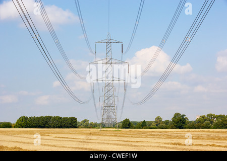 Electricity pylons in countryside Stock Photo
