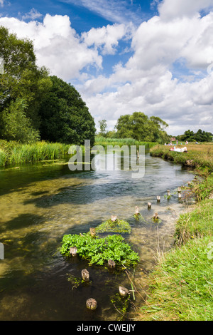 The River Test at Stockbridge, Hampshire - England Stock Photo