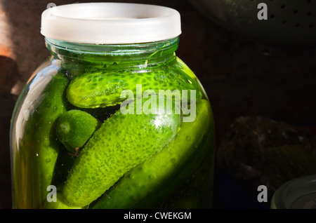 Home cooking object. Glass jar with fresh salted cucumbers Stock Photo