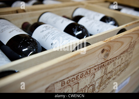 16/2/12 Vega Sicilia Winery, Valbuena de Duero, Castilla y Leon, Spain. Stock Photo