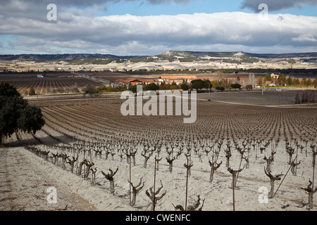 16/2/12 Vega Sicilia Winery, Valbuena de Duero, Castilla y Leon, Spain. Stock Photo