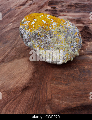 Foliose lichen covered glacial erratic boulder on sandstone bedrock at Pirate's Cove, Merkland Point, Isle of Arran, Scotland Stock Photo