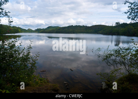 A view across Loch Coille-Bharr, Knapdale, Argyll and Bute, Scotland Stock Photo