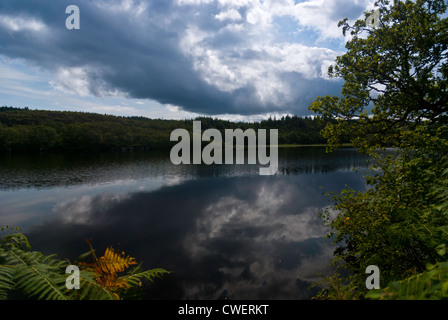 A view across Loch Coille-Bharr, Knapdale, Argyll and Bute, Scotland Stock Photo