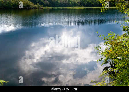 A view across Loch Coille-Bharr, Knapdale, Argyll and Bute, Scotland Stock Photo