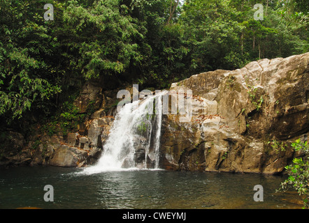 A waterfall in the rainforest of the Sinharaja National Park, Sri Lanka Stock Photo