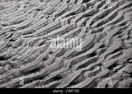 Ripple in the wet sand at Sumner Beach near Christchurch, Canterbury, South Island, New Zealand Stock Photo
