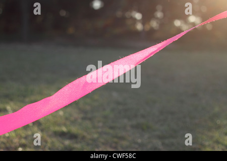 Red Ribbon with grassplot in park. Stock Photo