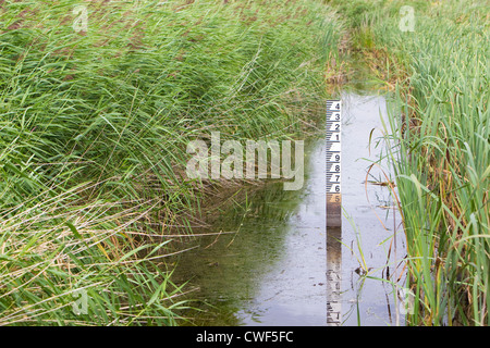 Ditch in reedbed with water gauge, Essex, UK Stock Photo