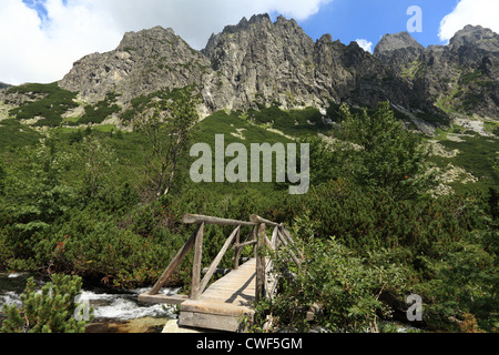 Wooden bridge over the Velky Studeny potok in Velka Studena dolina, High Tatras, Slovakia. Stock Photo