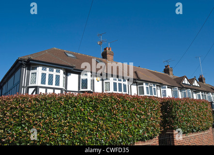 mock tudor houses forming a terrace and seen behind a privet hedge, north kingston, surrey, england Stock Photo