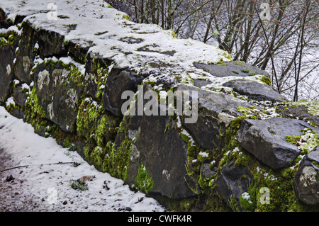 This horizontal nature image is a rock wall with green moss growing between the stones, and a light dusting  snow. Stock Photo