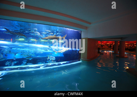 Shark tank slide and pool in Golden nugget casino hotel in Las Vegas, Nevada, US Stock Photo