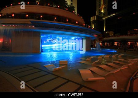 Swim with the sharks at the Golden Nugget — PHOTOS