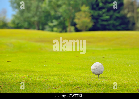Golf ball on tee Stock Photo