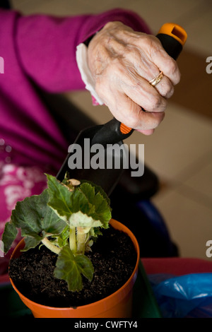 The hand of an old / senior / oap lady / person holding a trowel while potting a plant; part of therapy at an old people's home. Stock Photo