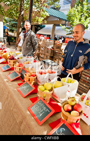 Apples for sale at annual Apple Festival on The Commons in Ithaca, New York State Stock Photo