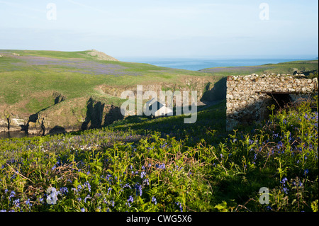 The Island Office and The Neck, Skomer, South Wales, United Kingdom Stock Photo