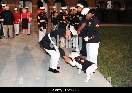 Sergeant Major Robert E. Cleary greets the Marine Barracks Washington mascot Cpl Chesty XIII following the Evening Parade at Marine Barracks WashingtonJuly 30, 2010 in Washington, D.C. Stock Photo