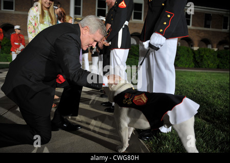Secretary of the Navy Ray Mabus greets the US Marine Barracks Washington mascot Cpl. Chesty XIII following the parade May 20, 2011 in Washington, DC. Stock Photo