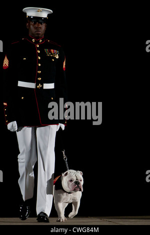 Sergeant Christopher Harris, the official mascot handler of the Marine Corps and Chesty VIII, the official mascot of the Marine Corps, march during a Friday Evening Parade at Marine Barracks Washington July 13, 2012 in Washington DC. Stock Photo