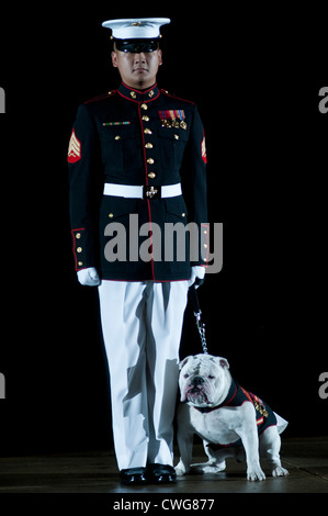 A US Marine Barracks Washington dog handler marches with Sergeant Chesty XIII, the official Marine Corps mascot during a Friday Evening Parade July 20, 2012 at the Barracks. Stock Photo