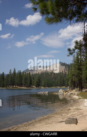 Antelope Lake in Northern California with pine trees and blue skies. Stock Photo