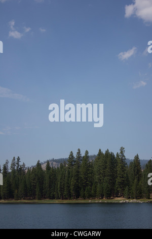 Antelope Lake in Northern California with pine trees and blue skies. Stock Photo