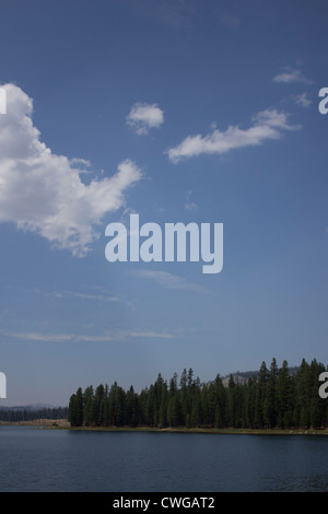 Antelope Lake in Northern California with pine trees and blue skies. Stock Photo