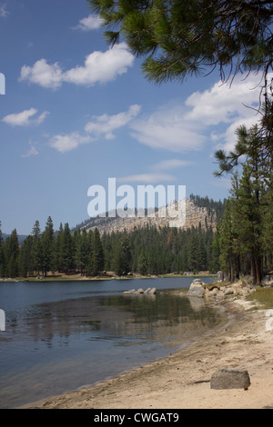 Antelope Lake in Northern California with pine trees and blue skies. Stock Photo