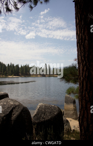 Antelope Lake in Northern California with pine trees and blue skies. Stock Photo