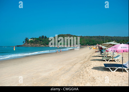 Sun beds on Baga Beach, Goa, India Stock Photo