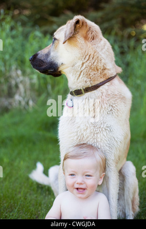 Baby boy sitting with his large white dog on grass. Stock Photo