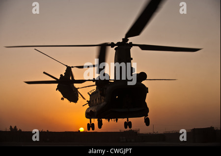 Two Royal Air Force CH-47 Chinooks take off from Task Force Helmand headquarters in Lashkar Gah district, Helmand province, September 22, 2011 in Afghanistan. Stock Photo