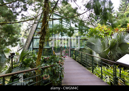 Cool house inside the National Orchid Garden in Singapore. The cool house is meant to showcase the more exotic varieties. Stock Photo