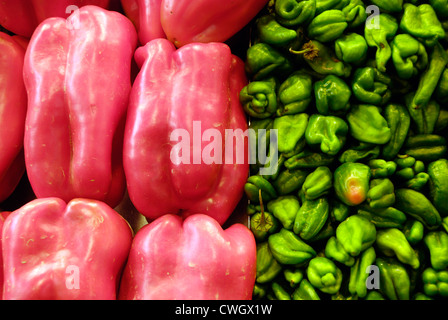 Sweet red peppers and green Scotch Bonnet peppers on sale in Spanish market Stock Photo