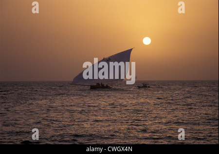Abu Dhabi, sunset and Dhow, a racing Dhow completes the race and is entering the corniche breakwater in Abu Dhabi. (1998). Stock Photo