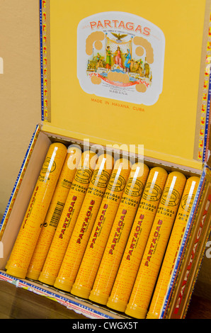 A box of Cuban Partagas cigars, Cuba. Stock Photo
