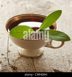 A cup of sage tea, with herb in a vintage style.