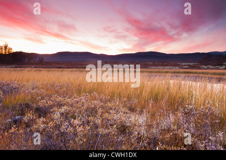 Colorful evening skies at Fokstumyra nature reserve, at Dovre, Norway. Stock Photo