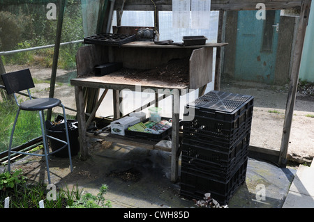 Potting area, work bench, greenhouse, glass house, garden centre, Sussex, english countryside. Stock Photo