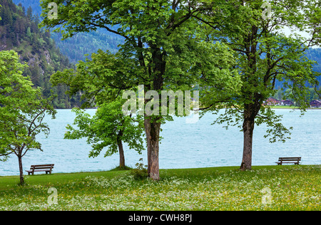 Achensee ( Lake Achen) summer landscape with blossoming meadow and bench on shore (Austria). Stock Photo