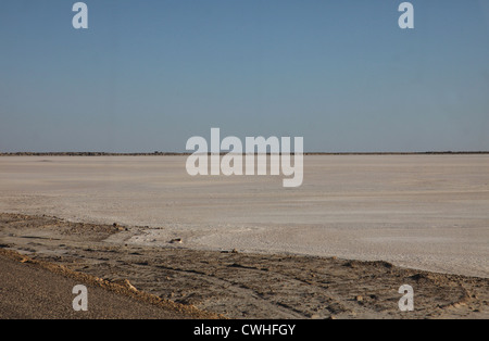 Chott el Jerid (biggest salt lake in north Africa), Tunisia Stock Photo