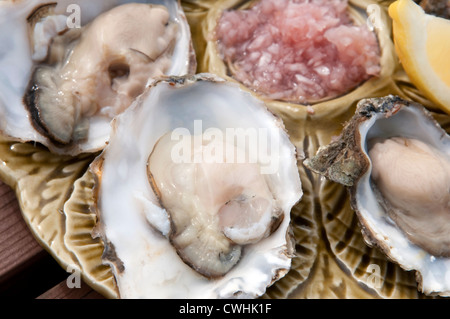 fresh oysters on plate, west mersea, essex, england Stock Photo